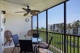 Loggerhead 543