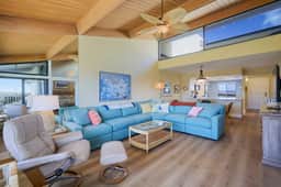 Loggerhead 523
