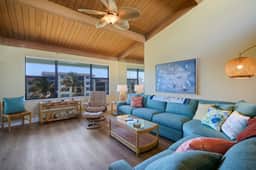 Loggerhead 523