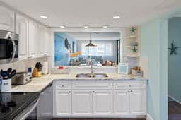 Loggerhead 332