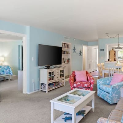 Loggerhead 332