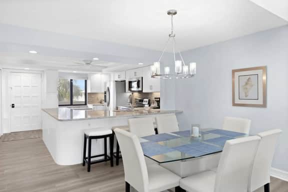 Loggerhead 253